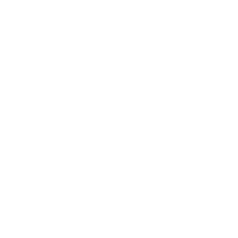 Motorrad Chopper Evolution Schweif